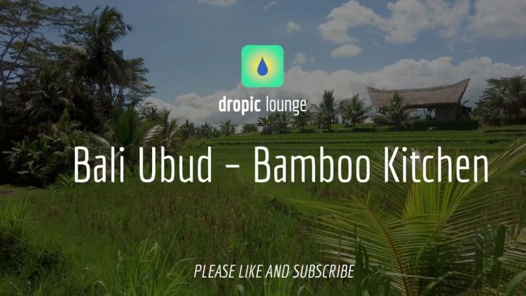 dropic lounge bali ubud bamboo kitchen relaxvideo